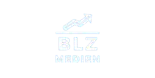 BLZ Medien